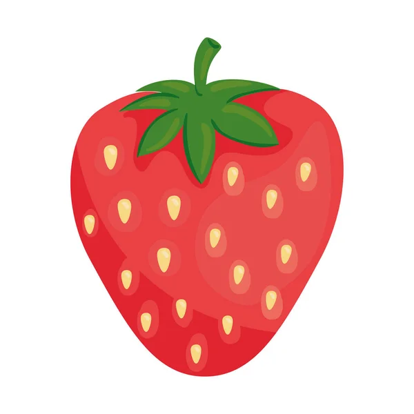 Frische Erdbeerfrüchte auf weißem Hintergrund — Stockvektor