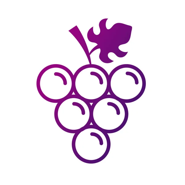 Виноград свежие фрукты градиентный стиль — стоковый вектор