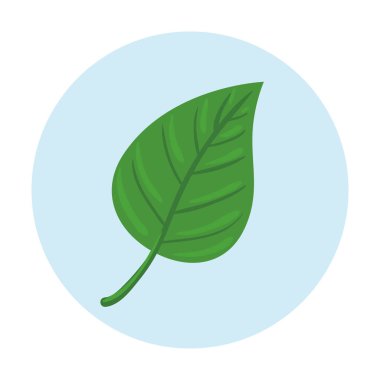 Yuvarlak çerçevede, beyaz arkaplanda yaprak doğa ekolojisi