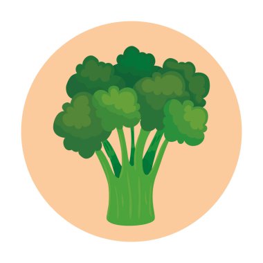 Yuvarlak çerçeveli taze brokoli sebzesi