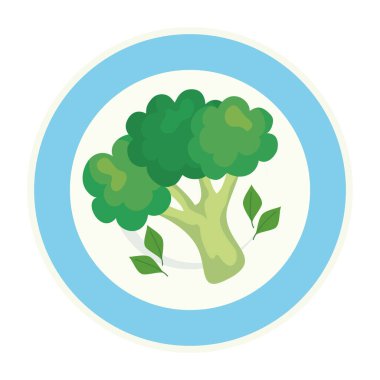 Tabakta taze brokoli, beyaz arka planda.