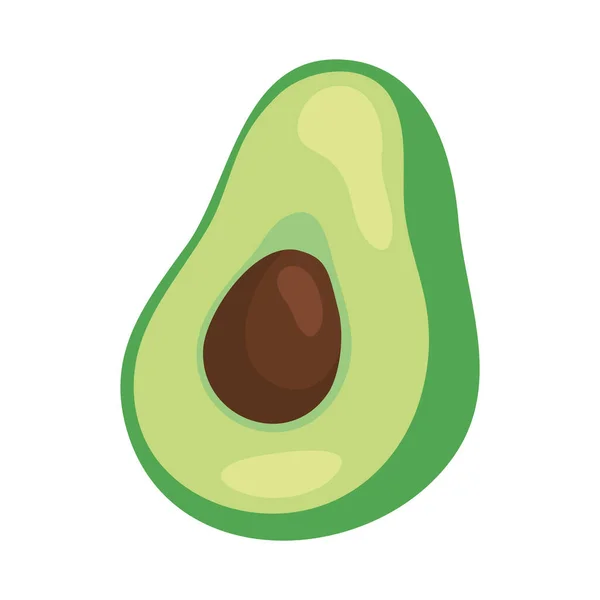 Verse avocado groente in witte achtergrond — Stockvector