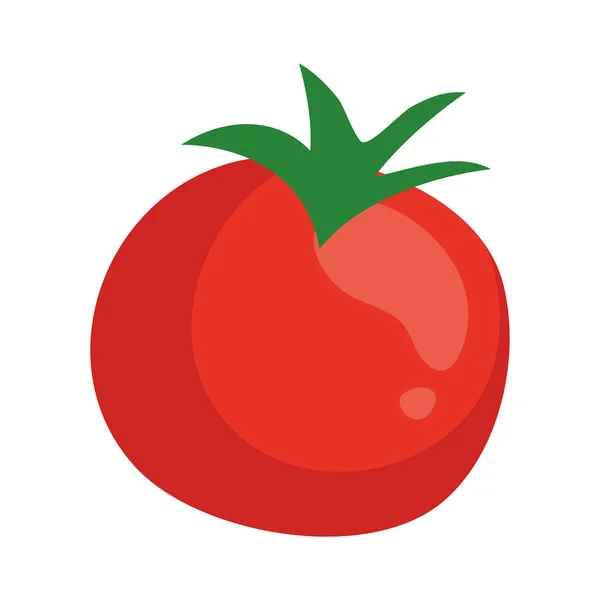 Vegetal de tomate fresco en fondo blanco — Vector de stock