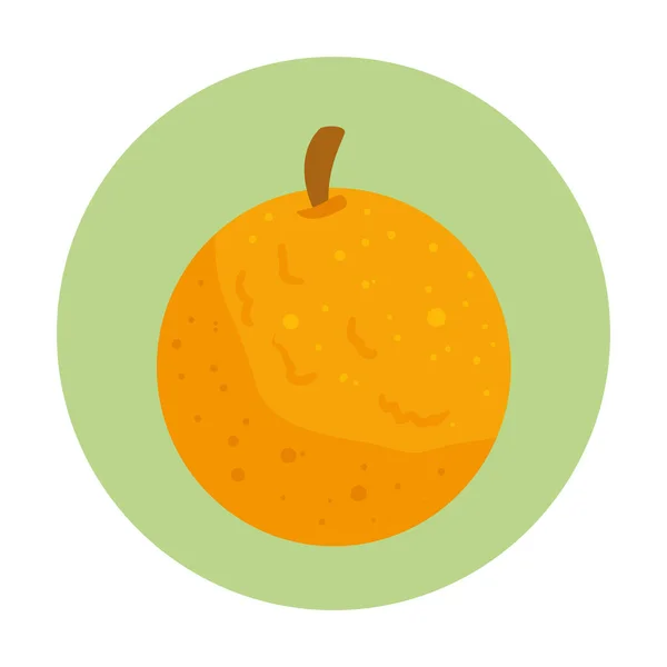 Naranja fruta fresca y saludable en marco redondo — Vector de stock