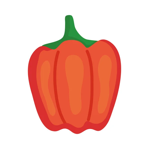 Färsk paprika grönsaker i vit bakgrund — Stock vektor