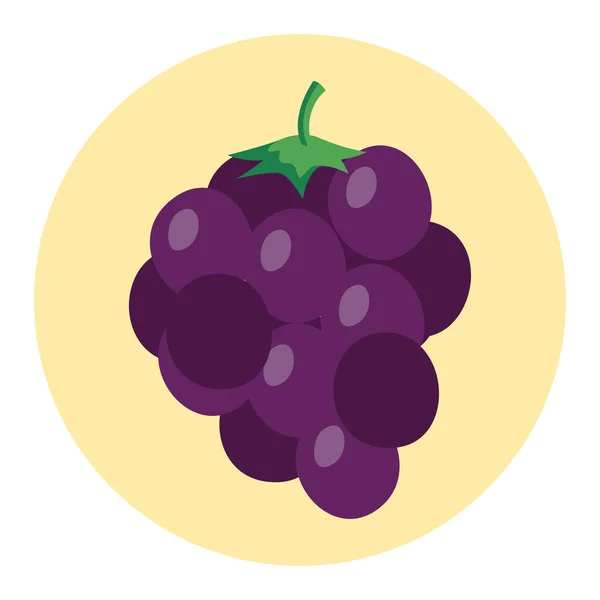 Raisins frais fruits sur cadre rond, en fond blanc — Image vectorielle