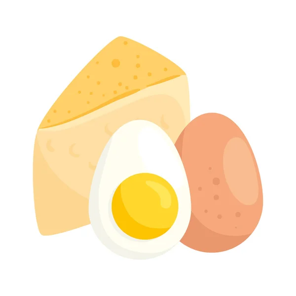 Ovos com queijo em fundo branco — Vetor de Stock