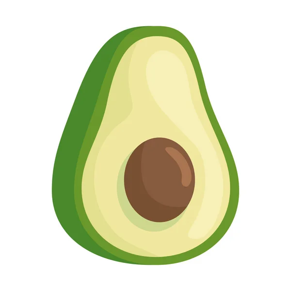 Verse avocado groente op witte achtergrond — Stockvector