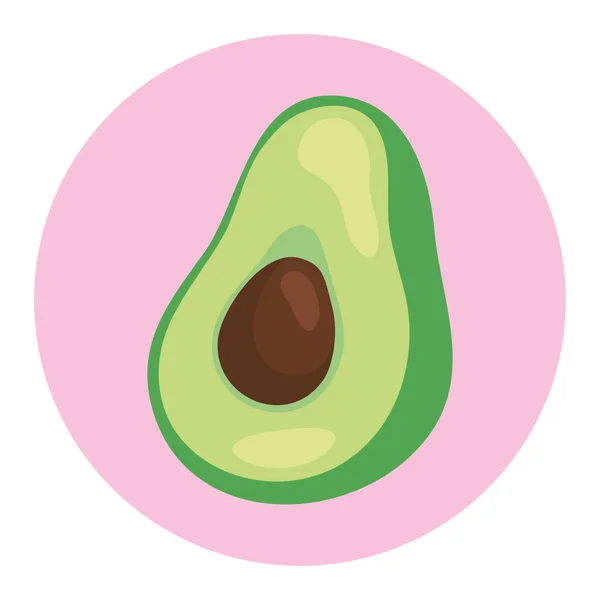 Légume d'avocat frais sur cadre rond, en fond blanc — Image vectorielle