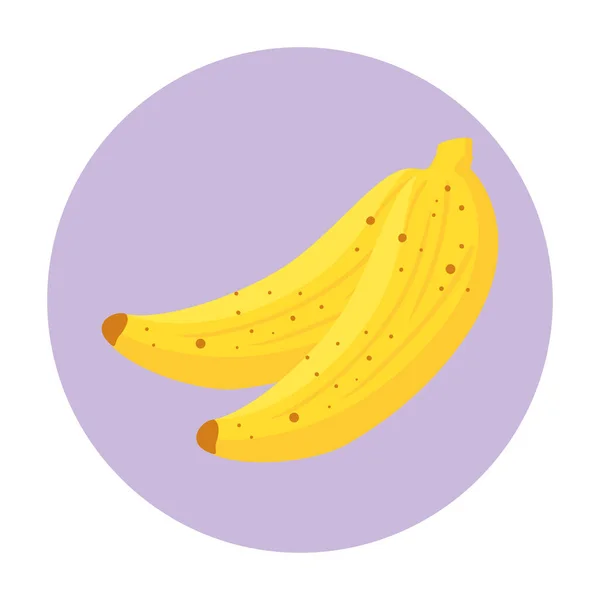 Fruits de bananes fraîches sur cadre rond, en fond blanc — Image vectorielle