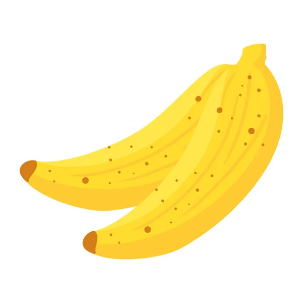 Fresh bananas fruits, in white background — Stock Vector