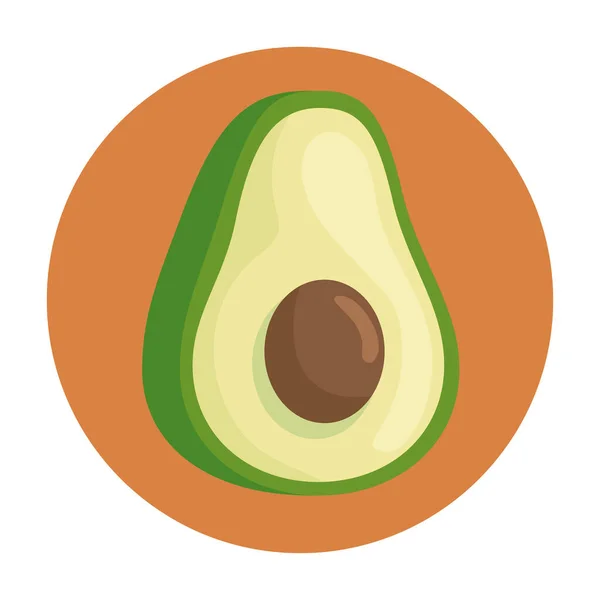 Verse avocado groente op ronde frame — Stockvector