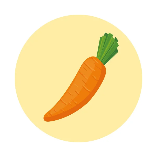 Zanahoria fresca vegetal en marco redondo — Archivo Imágenes Vectoriales