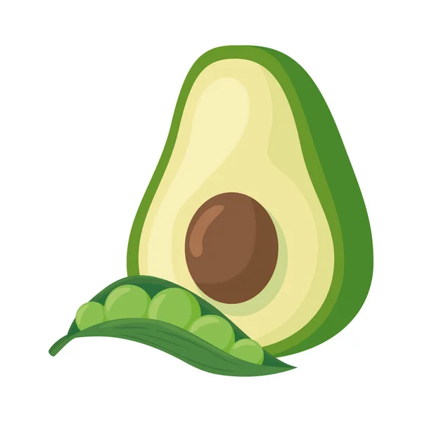 Aguacate fresco con vaina de verduras de guisante en fondo blanco — Vector de stock