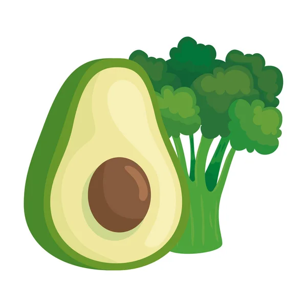 Čerstvé avokádo a brokolice zeleniny na bílém pozadí — Stockový vektor