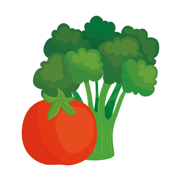 Verdure fresche, pomodoro con broccoli su fondo bianco — Vettoriale Stock