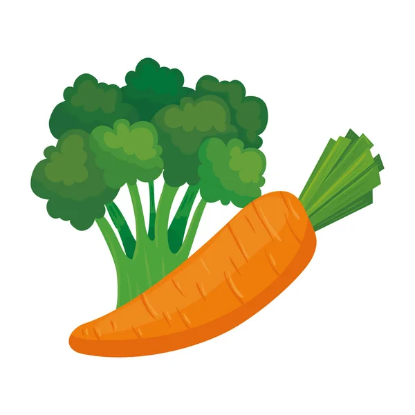 Fresh vegetables, carrot and broccoli in white background — Stock Vector