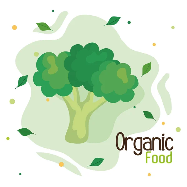 Bannière avec brocoli frais, concept alimentation saine — Image vectorielle
