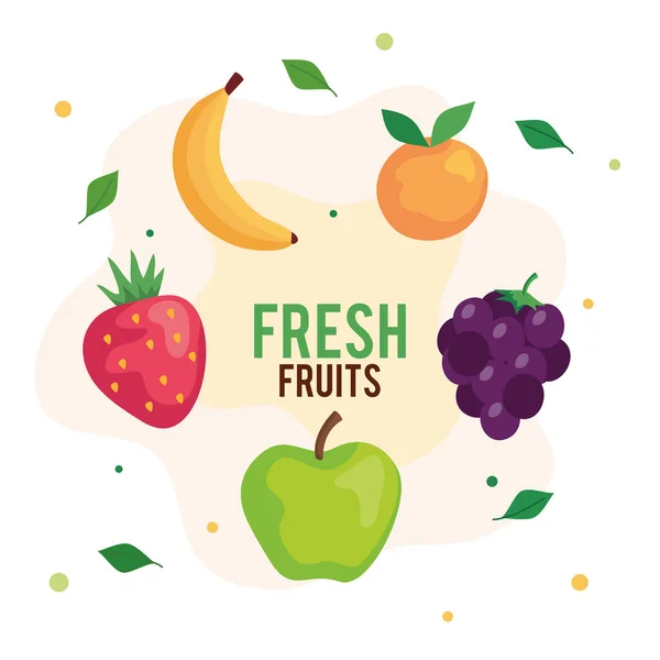 Banner con plátano y frutas frescas — Vector de stock