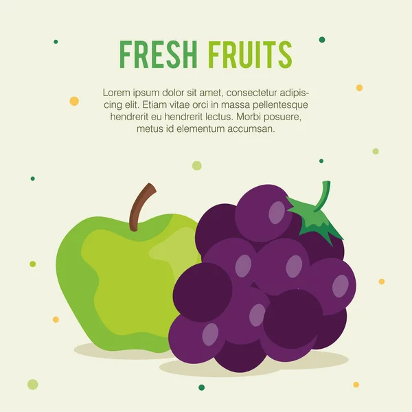 バナー新鮮な果物、ブドウと緑のリンゴ — ストックベクタ