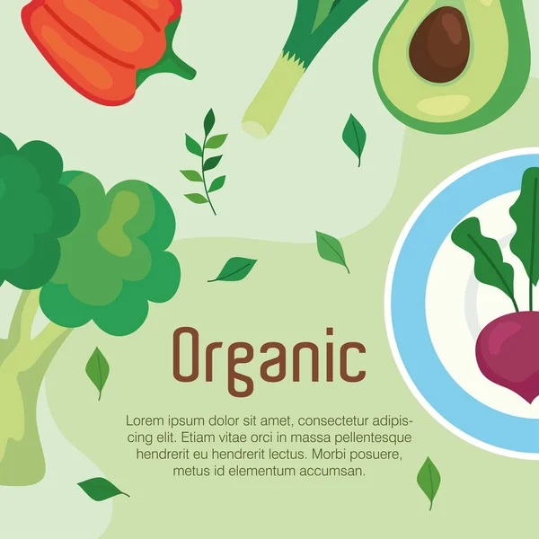 Bandeira com legumes orgânicos, conceito comida saudável — Vetor de Stock