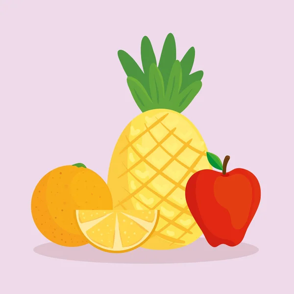 Conjunto de frutas frescas tropicales — Vector de stock