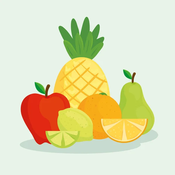 Set tropischer frischer und gesunder Früchte — Stockvektor