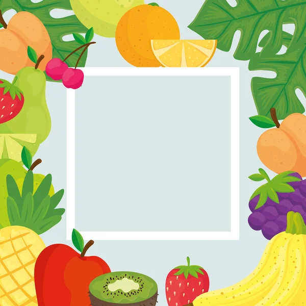Kwadratowa rama ze świeżych owoców tropikalnych — Wektor stockowy
