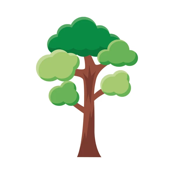 Verzweigte Baum flache Stil-Ikone — Stockvektor