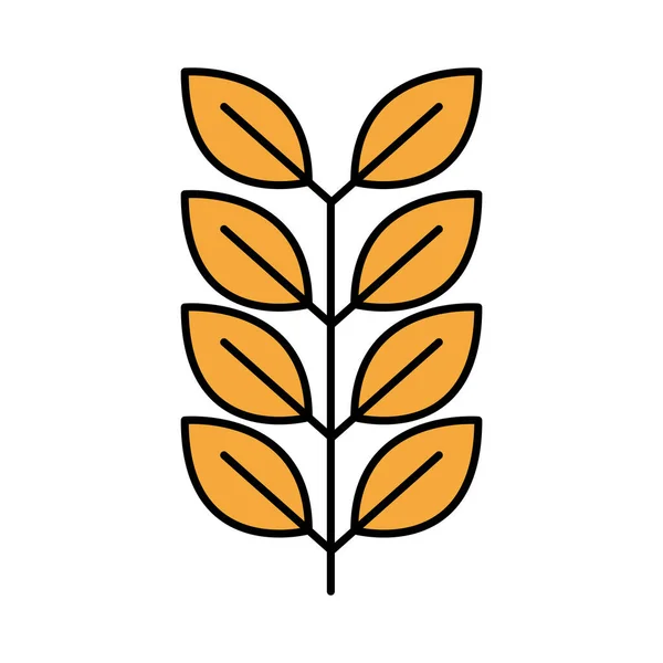 Ячменная ветвь Октоберфест и иконка стиля заливки — стоковый вектор