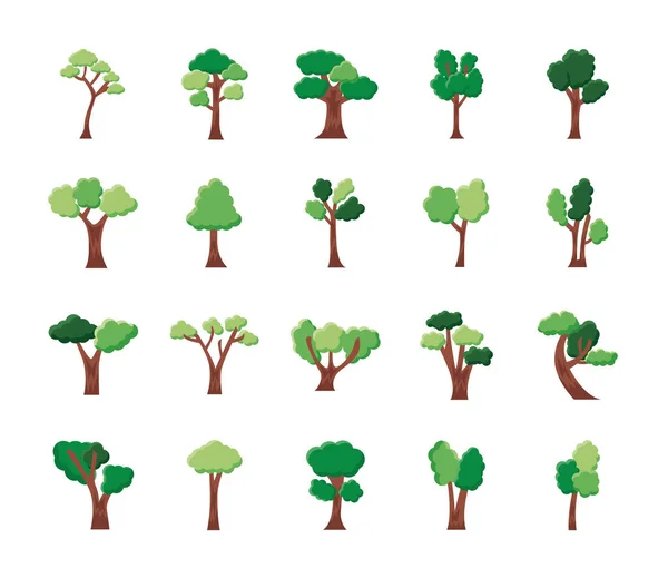 Bundel van twintig bomen set pictogrammen — Stockvector