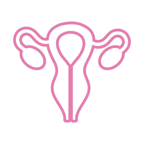 Γυναικείο αναπαραγωγικό όργανο γραμμή στυλ εικονίδιο — Διανυσματικό Αρχείο