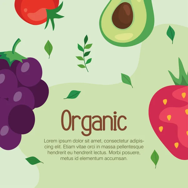 有機食品野菜果物のバナー健康食品をコンセプトに — ストックベクタ