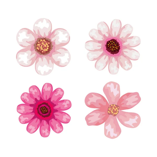 Sada roztomilých květin barvy růžové — Stockový vektor