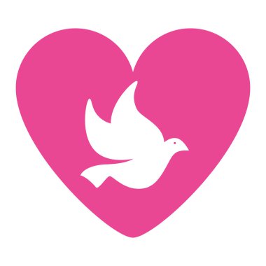 Pembe kalp vektör tasarımında güvercin