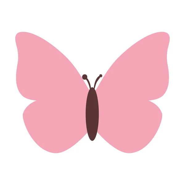 cute butterfly insect vector design