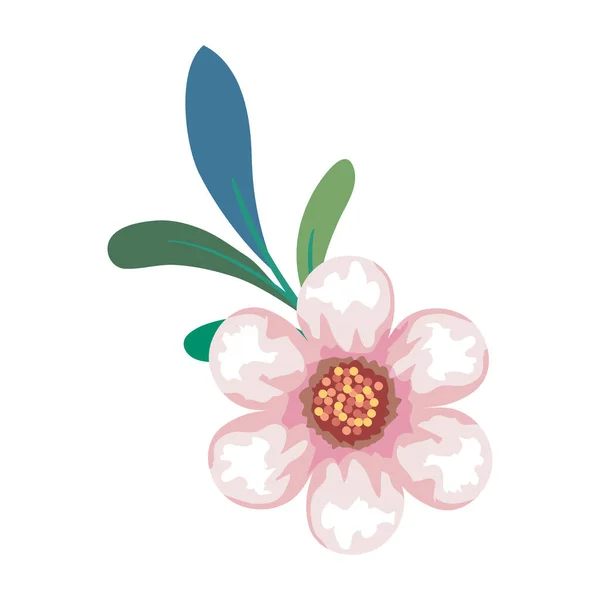 Rosa blomma ritning med blad vektor design — Stock vektor