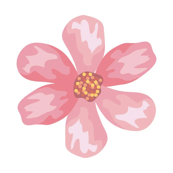 Růžová květinová kresba vektor design — Stockový vektor