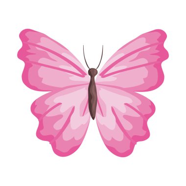 pembe kelebek vektör tasarımı