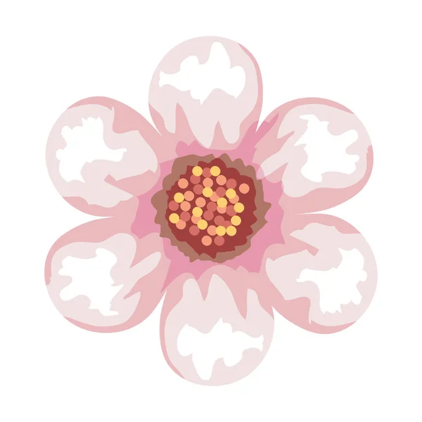 Pink flower drawing vector design — Stock Vector