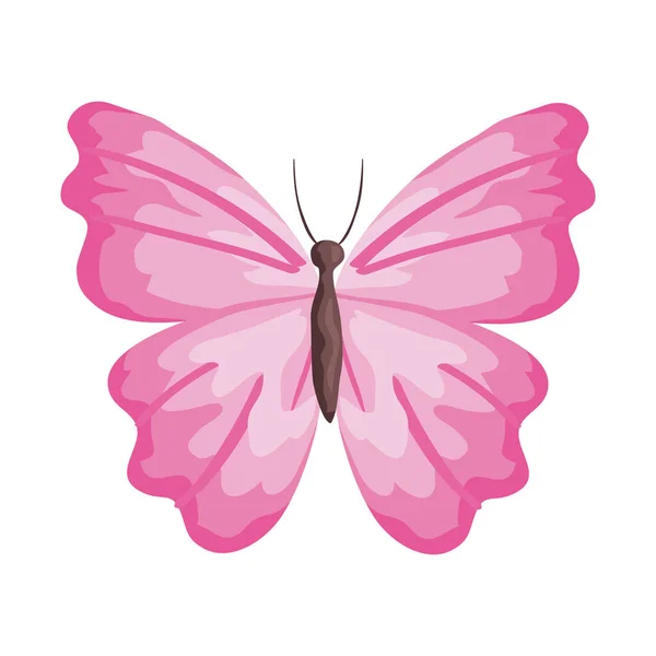 Borboleta rosa design de vetor de insetos — Vetor de Stock