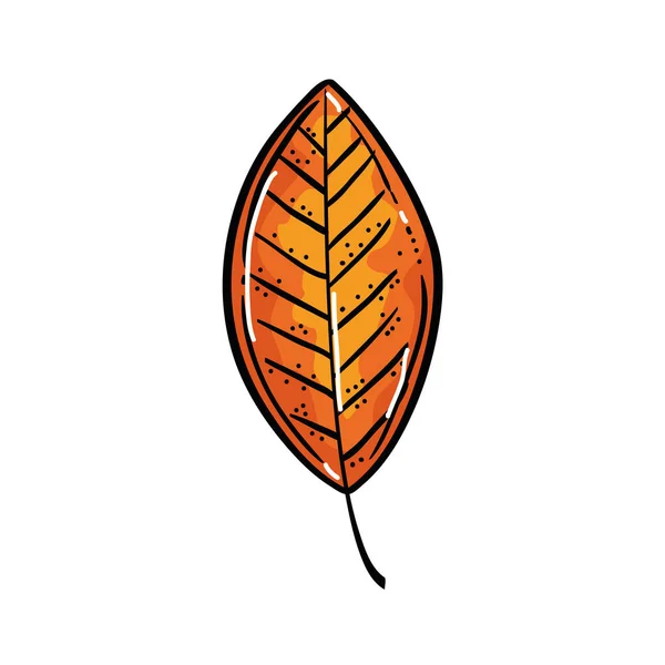 Geïsoleerde herfst blad vector ontwerp — Stockvector