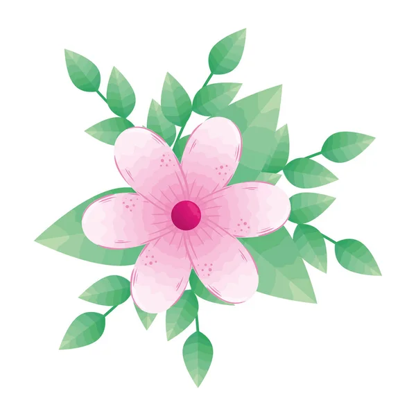 Pink flowers with leaves vector design — Stock Vector