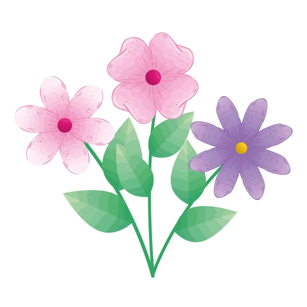 Rosa och lila blommor med blad vektor design — Stock vektor
