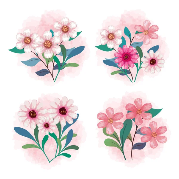 Roze bloemen met bladeren vector ontwerp — Stockvector