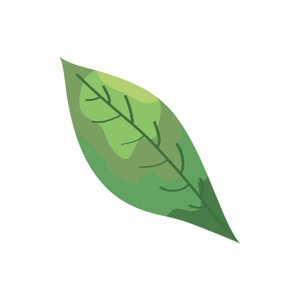 Feuille nature plante écologie icône — Image vectorielle