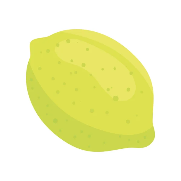 Fruta fresca y saludable de limón, en fondo blanco — Vector de stock