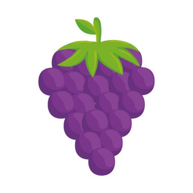 Taze üzüm, beyaz arka planda.