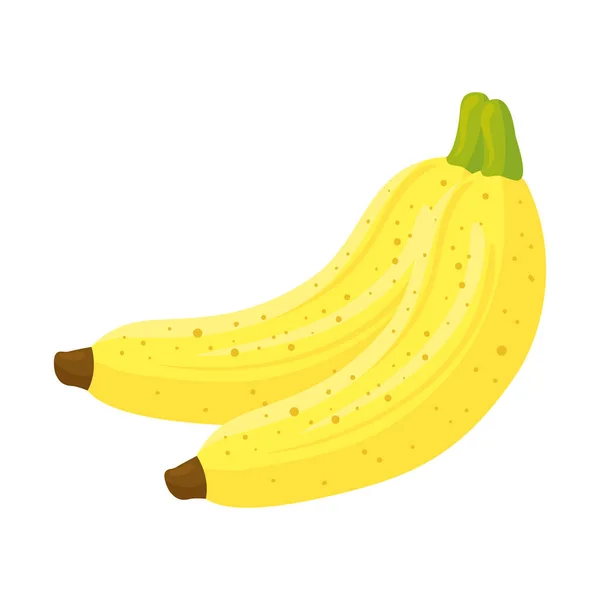 Verse bananen, in witte achtergrond — Stockvector