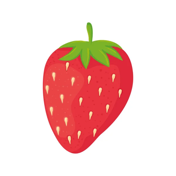 Verse aardbeien fruit in witte achtergrond — Stockvector